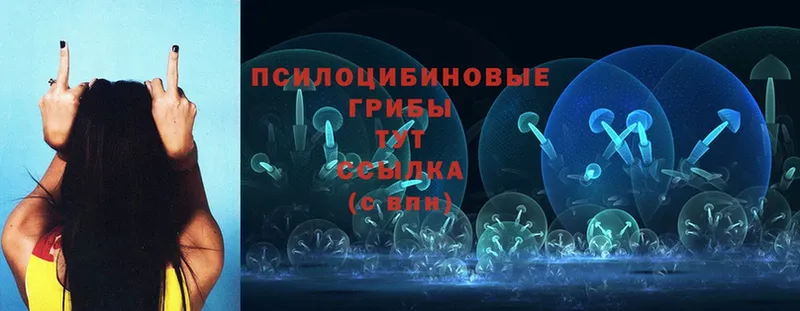 Галлюциногенные грибы Magic Shrooms  Данков 